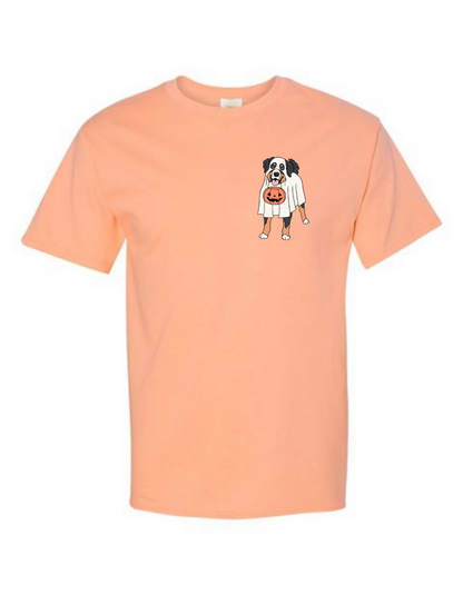 Bernese Mountain Dog Halloween T-Shirt